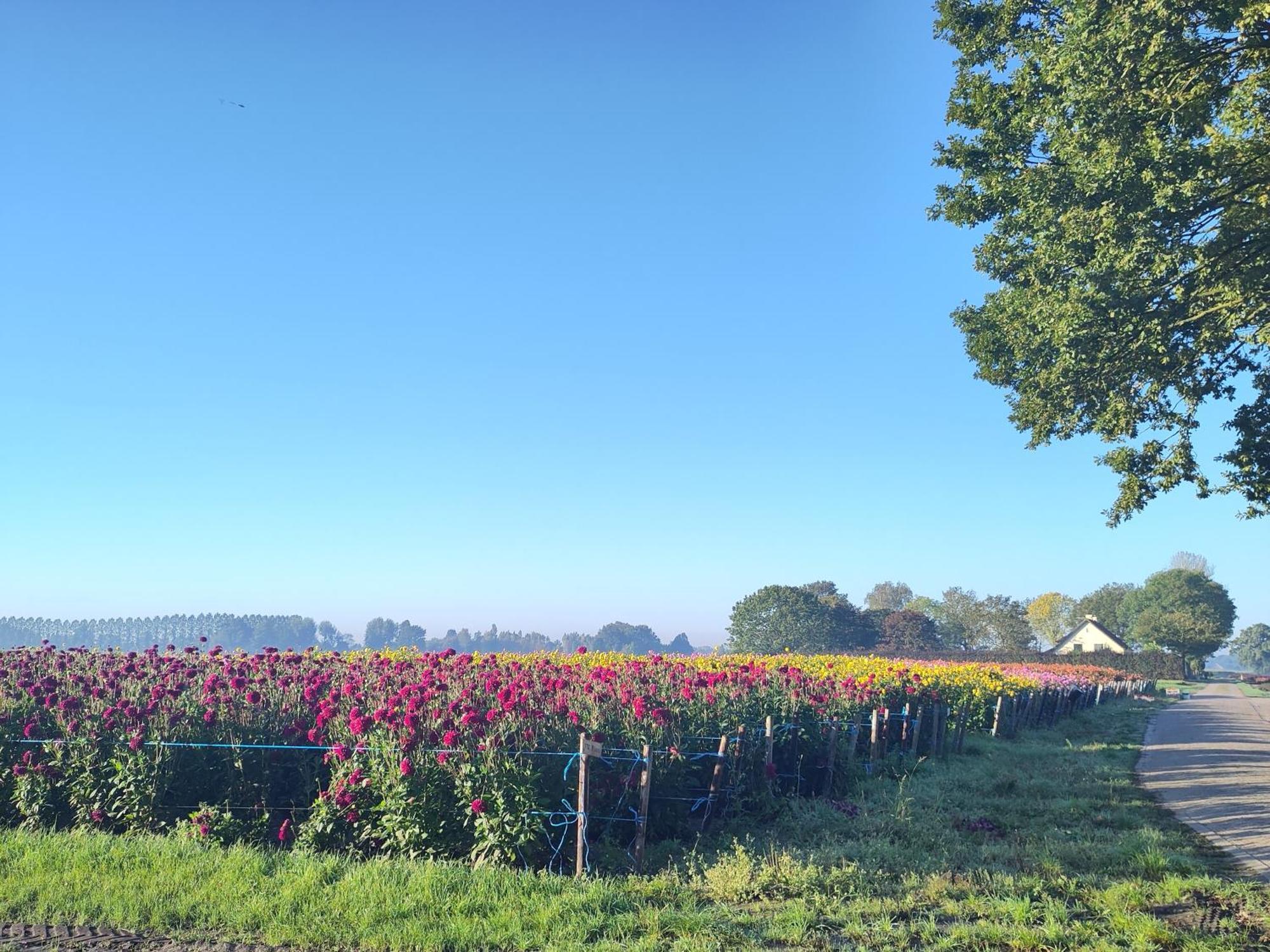 Bed and Breakfast 'T Voske Zundert Esterno foto