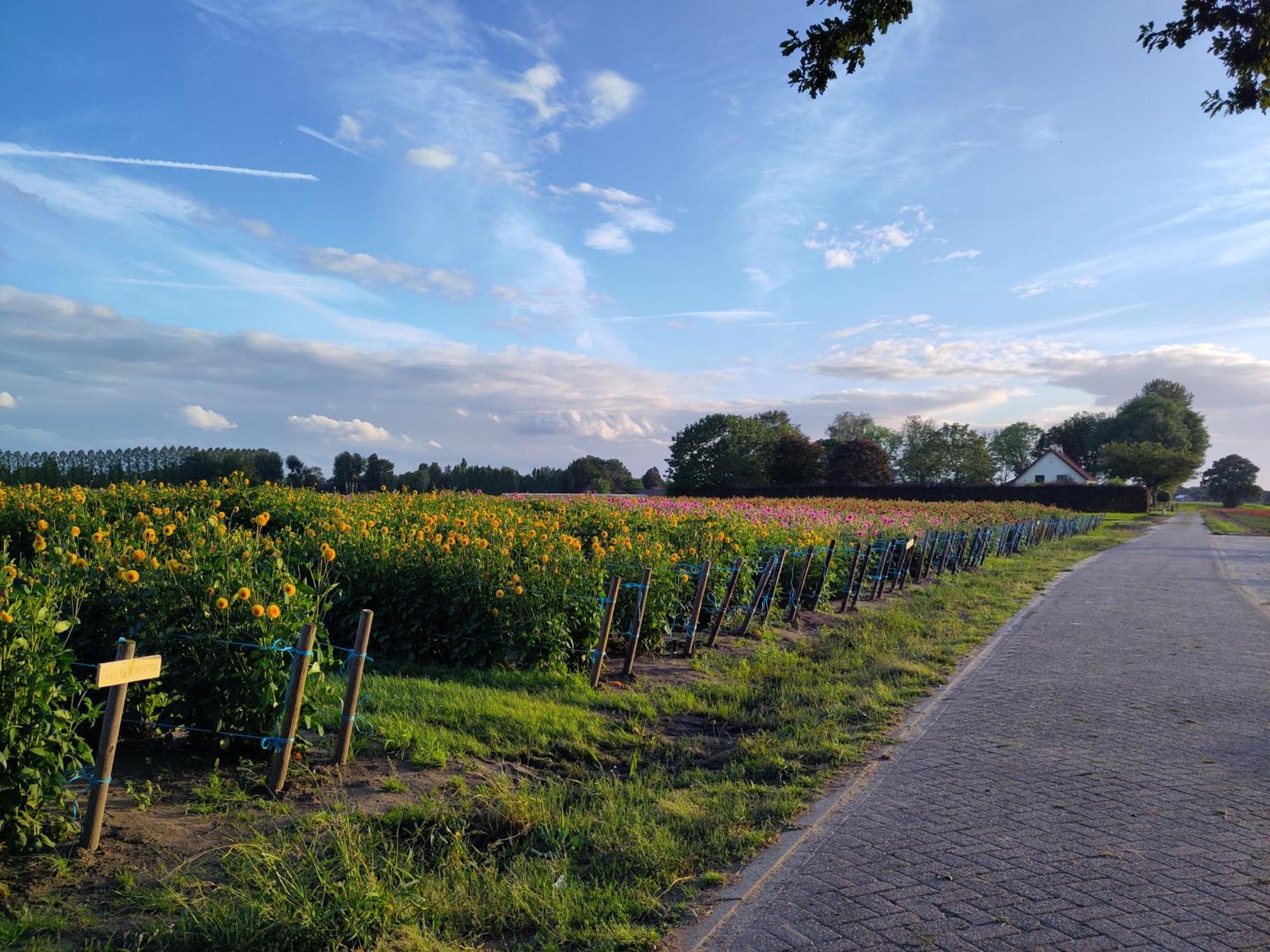 Bed and Breakfast 'T Voske Zundert Esterno foto