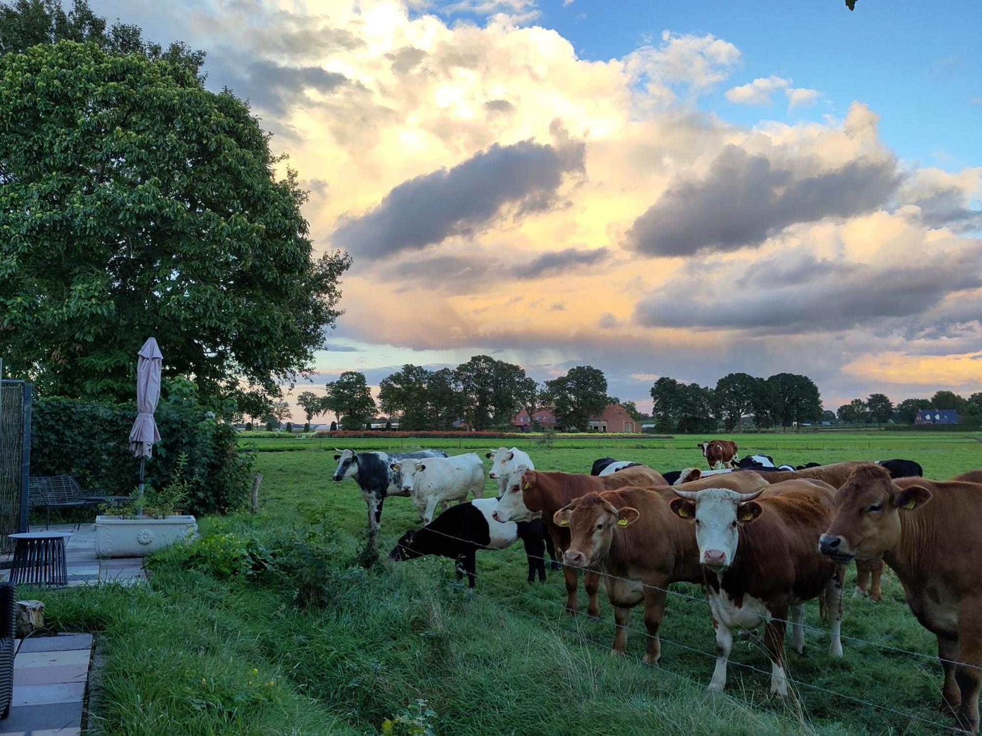 Bed and Breakfast 'T Voske Zundert Esterno foto