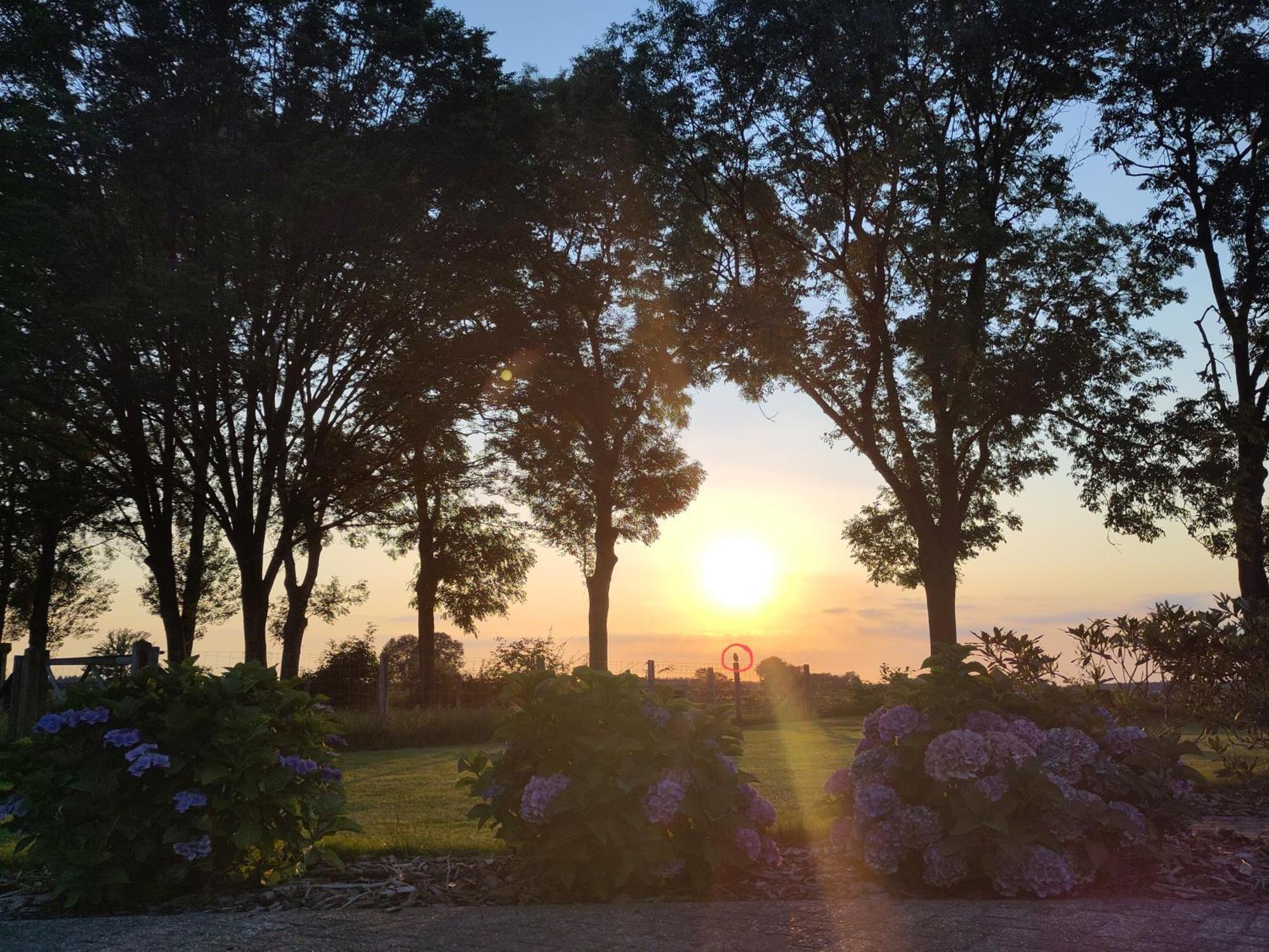 Bed and Breakfast 'T Voske Zundert Esterno foto