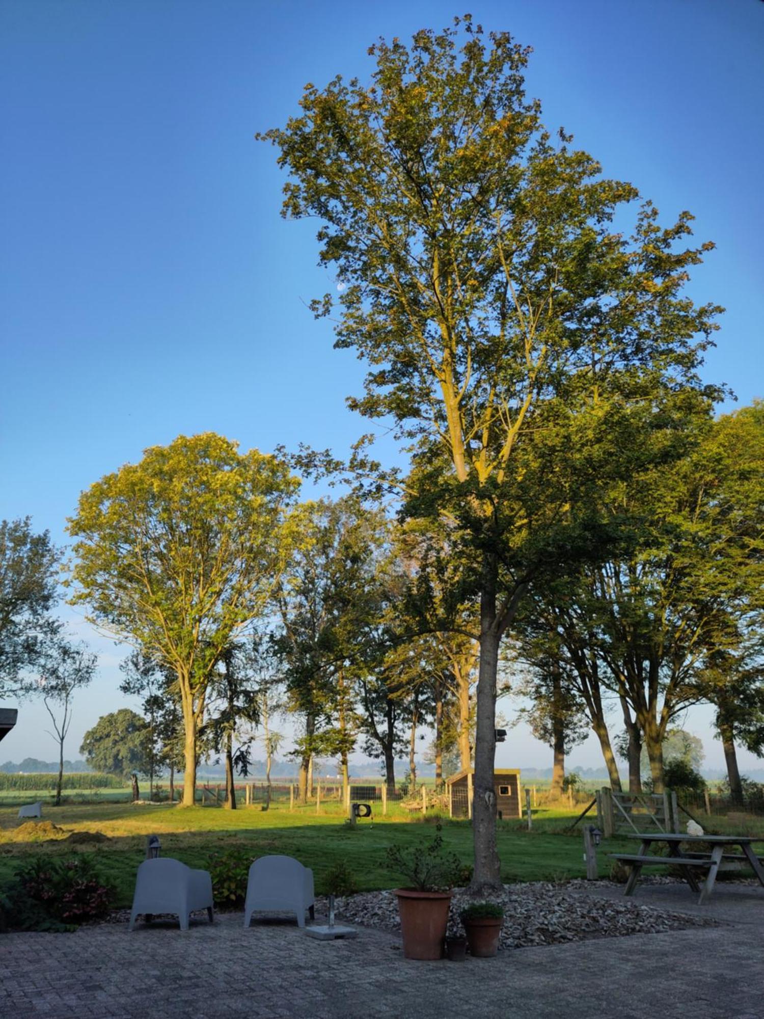 Bed and Breakfast 'T Voske Zundert Esterno foto